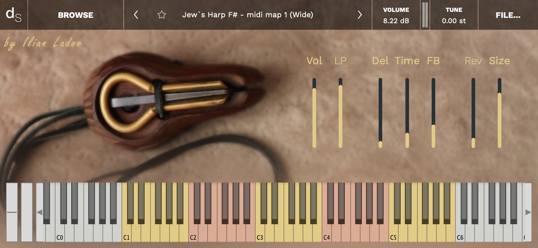 Jew`s Harp F# Decent Sampler Library Screenshot