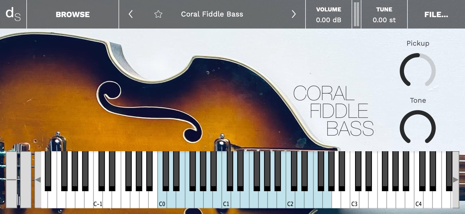 Coral Fiddle Bass Decent Sampler Library Screenshot
